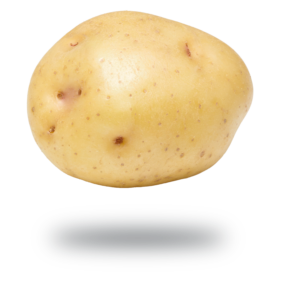Les patates, ça nous connaît! | We know potatoes!